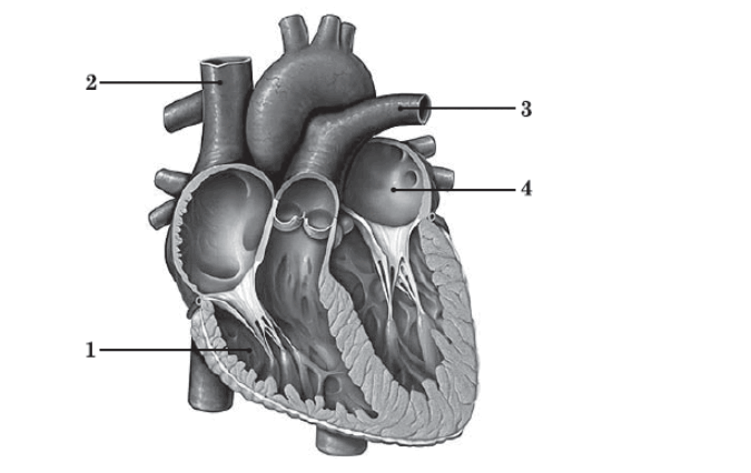 0901wlk6-2c70-675x426.png