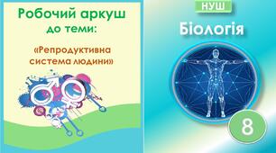 Робочий аркуш до теми “Репродуктивна система людини”. Біологія 8 клас НУШ