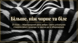 Міжнародний день зебри