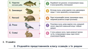 Діагностична робота 7 клас за підручником Балан, 3 групи результатів