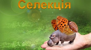 9 клас. Поняття про селекцію організмів