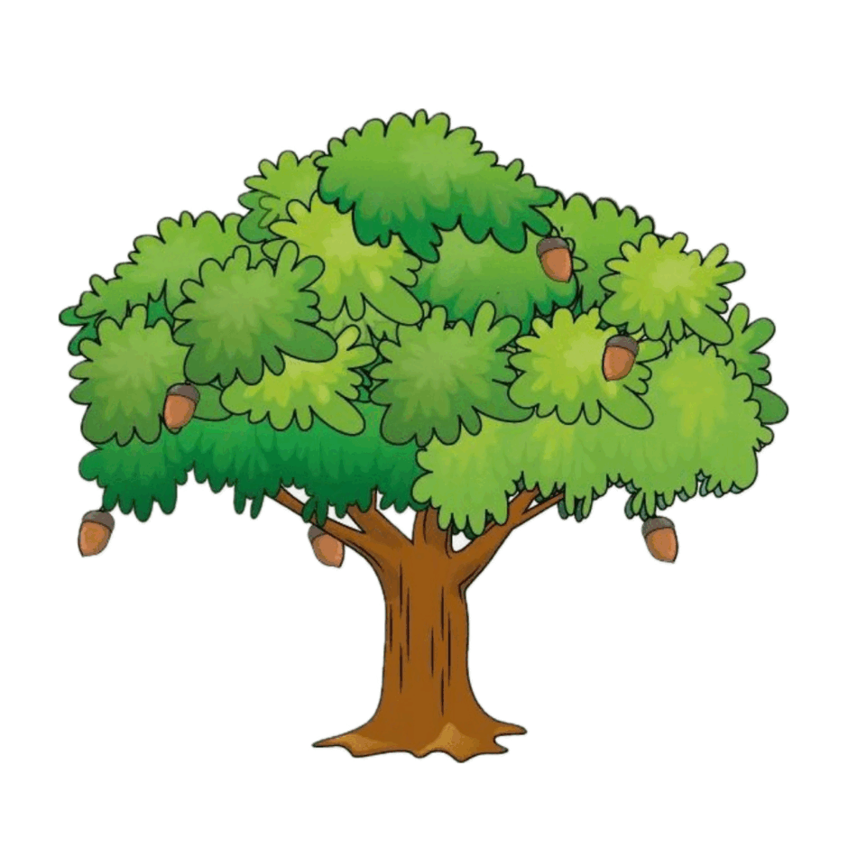 0901wq5t-a920-940x940.png