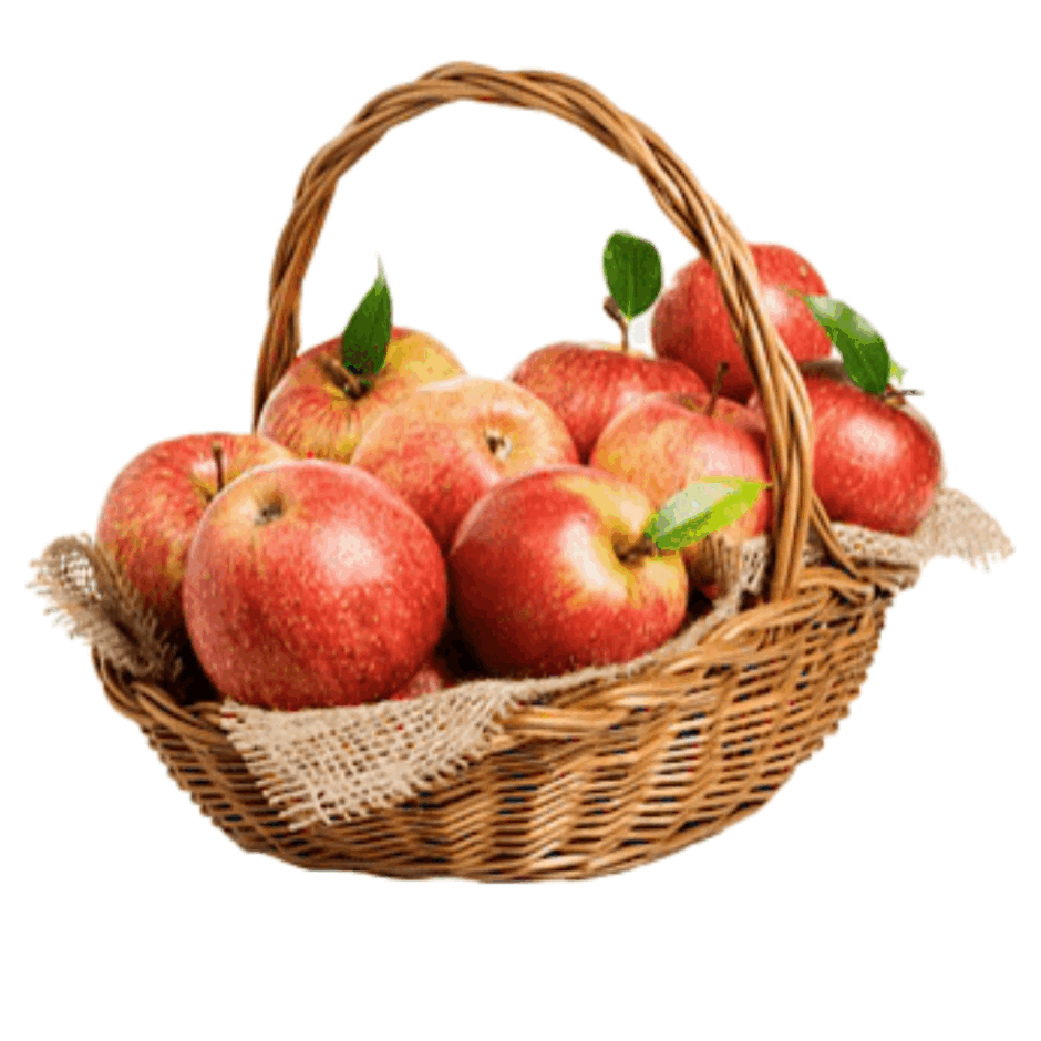 0901wqi7-1f36-940x940.png