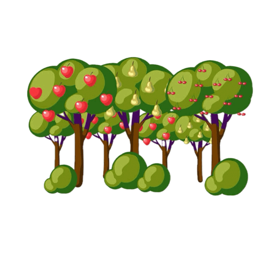 0901wqxg-2fe4-940x940.png