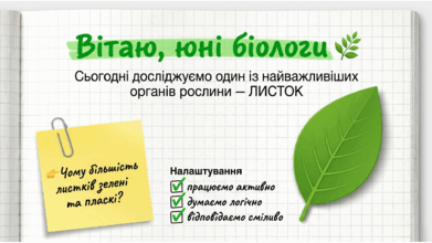 0901wrp3-d104-391x220.png