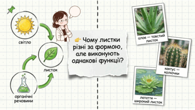 0901wrq7-6675-382x215.png