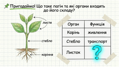 0901wrqi-c7a1-396x223.png