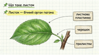 0901wrr7-0c42-375x211.png