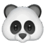 🐼