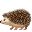 🦔