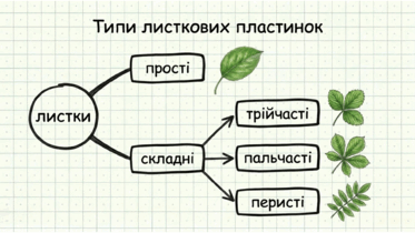 0901wrt6-fc30-373x210.png