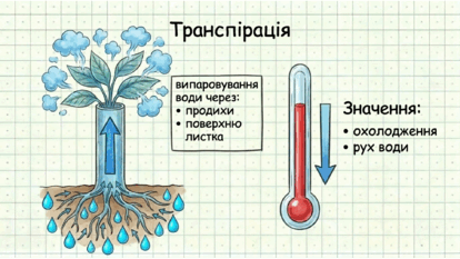 0901wrtt-0859-414x233.png