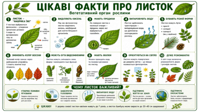 0901wrvp-8df0-394x222.png
