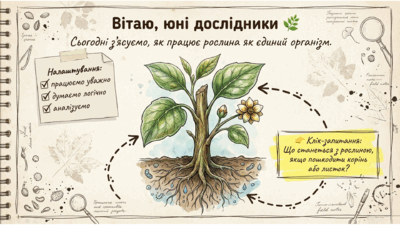 0901ws1n-d974-400x225.png