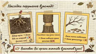 0901ws31-cb6e-392x221.png