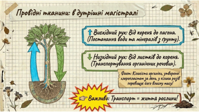 0901ws3c-b3a5-402x226.png