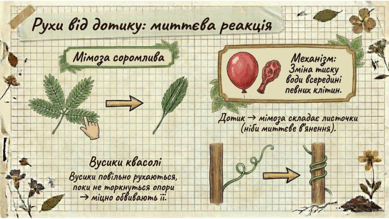 0901ws3n-e922-389x219.png