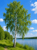 0901ws5a-9656-144x192.png