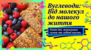 Застосування вуглеводів, їхня біологічна роль.  Навчальні проекти «Дослідження хімічного складу їжі.»; «Хімічний склад жувальних гумок.»; + Самостійна робота