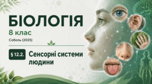 Сенсорні системи людини. 8 клас НУШ