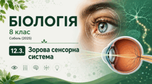Зорова сенсорна система. 8 клас НУШ