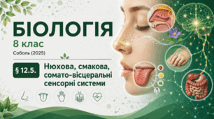 Нюхова, смакова, сомато-вісцеральні сенсорні системи