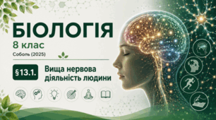 Вища нервова діяльність людини