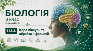 Кора півкуль та обробка інформації