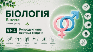 Репродуктивна система людини. 8 клас НУШ