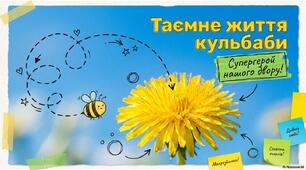 13 травня - Всесвітній день кульбаби. Супергерой нашого двору.
