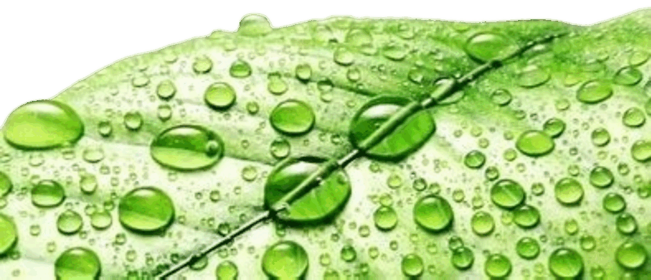 0901wzqs-e0f0-940x405.png