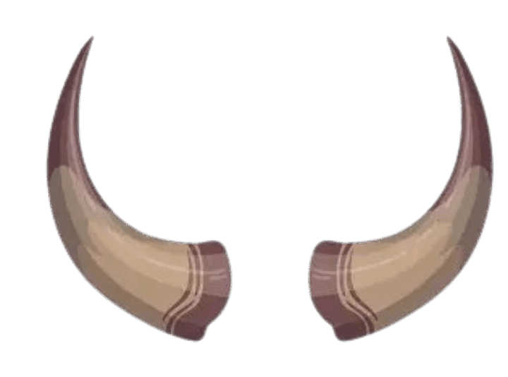 0901wzso-2ae4-720x534.png