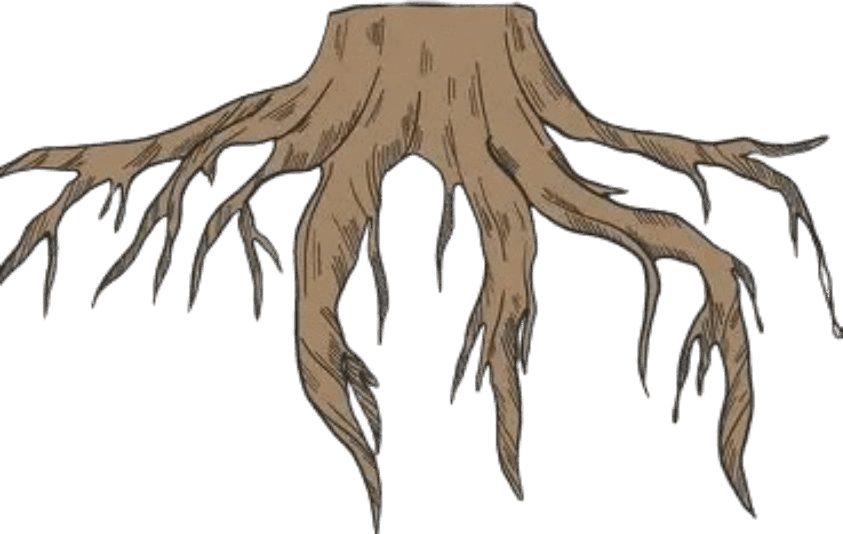 0901wzzq-f385-843x534.png
