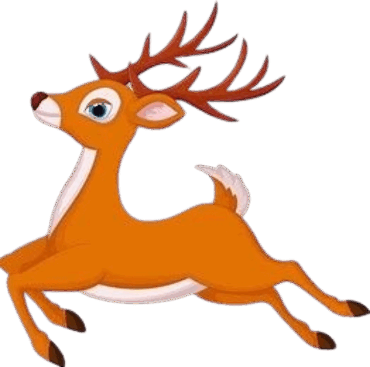 0901wzzt-ee8c-539x534.png