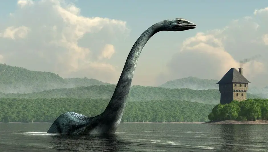 0901x21p-602d-940x533.webp