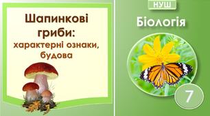 Шапинкові гриби. Біологія 7 клас НУШ.