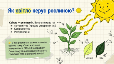 0901x3q4-abfc-388x218.png