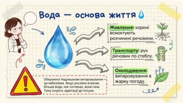0901x3ql-8274-378x213.png