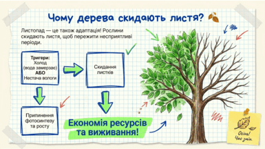 0901x3r3-5a4a-385x216.png