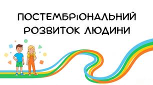 Презентація:"Постембріональний розвиток людини " біологія 8 клас НУШ