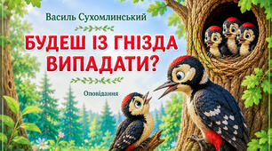 Ілюстроване оповідання Василя Сухомлинського «Будеш із гнізда випадати?»