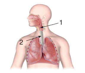 0901x8s3-8433-287x245.png