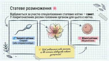 0901x8zc-a52c-377x212.png
