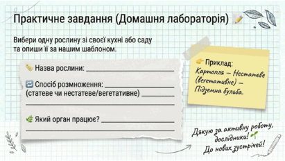 0901x911-d292-411x232.png