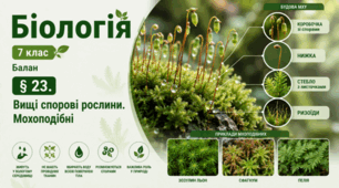 Вищі спорові рослини. Мохоподібні. 7 клас НУШ