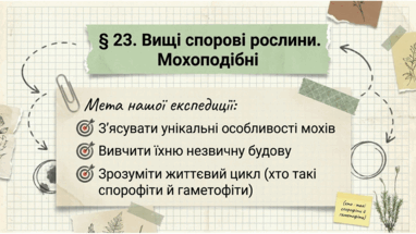 0901x99o-1743-382x215.png