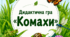 Дидактична гра "Комахи"