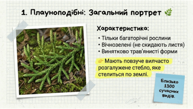 0901xegq-9805-392x221.png