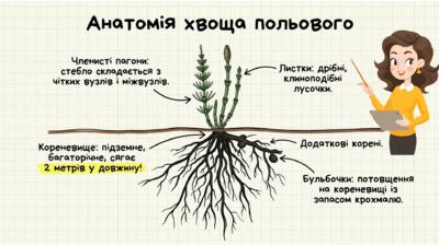 0901xeh5-9a55-400x225.png