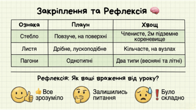 0901xej1-e053-389x219.png